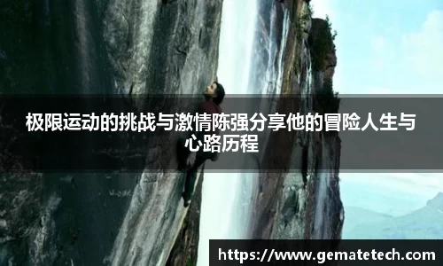 jn体育官方