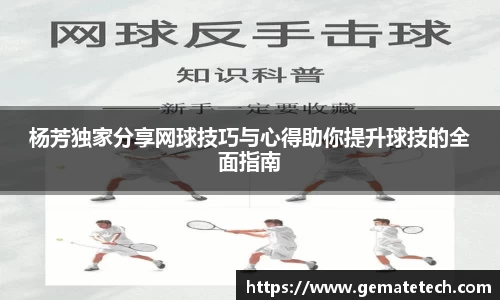 杨芳独家分享网球技巧与心得助你提升球技的全面指南